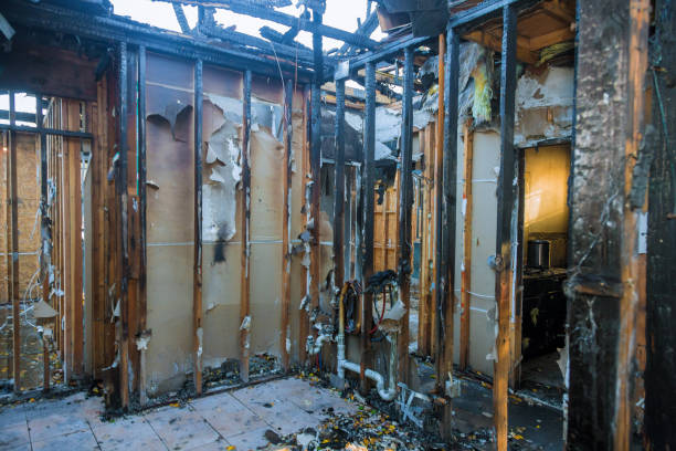 Professional Fire Damage Removal technician working in Terra Ceia, FL